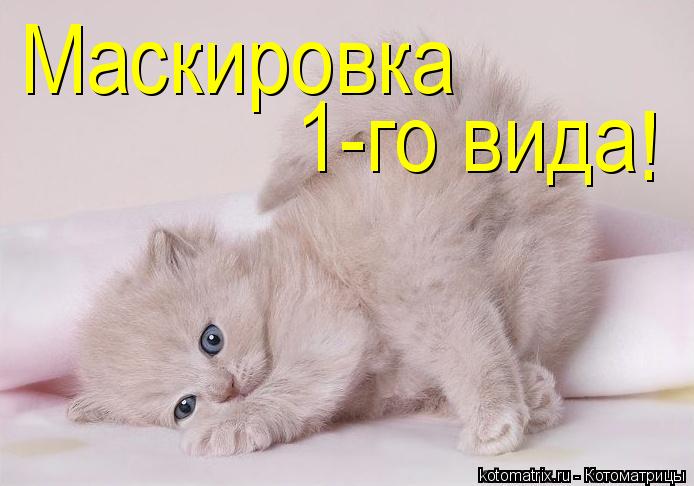 Маскировка 1-го вида !... Котоматрица: Маскировка 1-го вида !