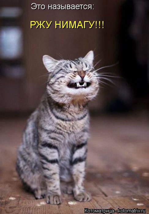 Это называется: РЖУ НИМАГУ!!!... Котоматрица: Это называется: РЖУ НИМАГУ!!!