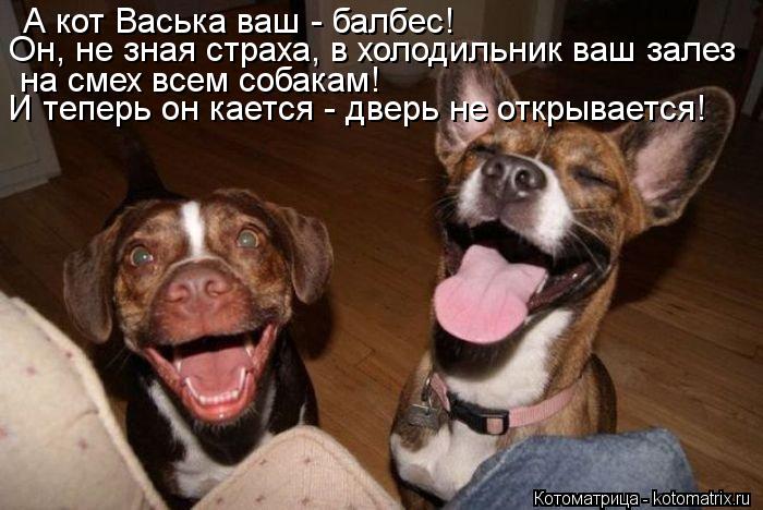 А кот Васька ваш - балбес! Он, не зная страха, в холодильник ваш залез на смех всем собакам! И теперь... Котоматрица: А кот Васька ваш - балбес! Он, не зная страха, в холодильник ваш залез на смех всем собакам! И теперь он кается - дверь не открывается!