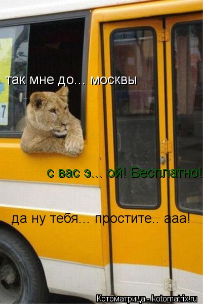 так мне до... москвы с вас э... ой! Бесплатно! да ну тебя... простите.. ааа!... Котоматрица: так мне до... москвы с вас э... ой! Бесплатно! да ну тебя... простите.. ааа!