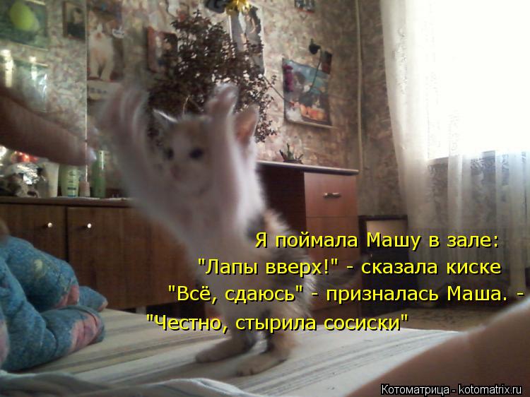 "Лапы вверх!" - сказала киске "Честно, стырила сосиски" "Всё, сдаюсь" - призналась Маша. - Я поймала ... Котоматрица: "Лапы вверх!" - сказала киске "Честно, стырила сосиски" "Всё, сдаюсь" - призналась Маша. - Я поймала Машу в зале: