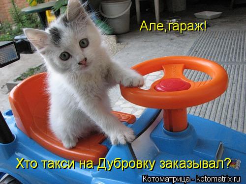 Але,гараж! Хто такси на Дубровку заказывал? Хто такси на Дубровку заказывал?... Котоматрица: Але,гараж! Хто такси на Дубровку заказывал? Хто такси на Дубровку заказывал?