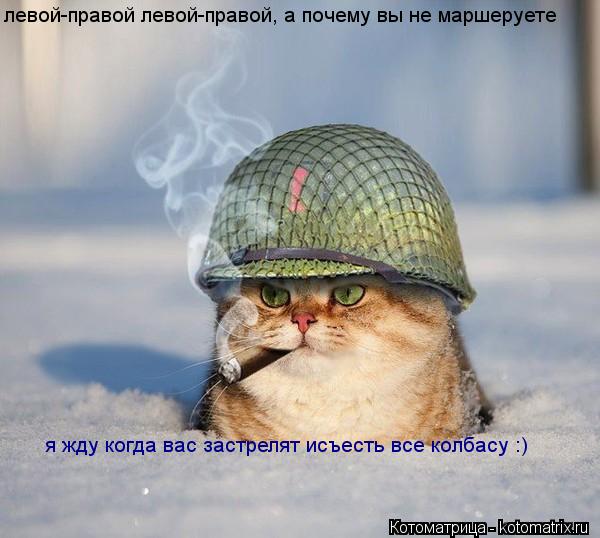 левой-правой левой-правой, а почему вы не маршеруете я жду когда вас застрелят исъесть все колбасу :)... Котоматрица: левой-правой левой-правой, а почему вы не маршеруете я жду когда вас застрелят исъесть все колбасу :)