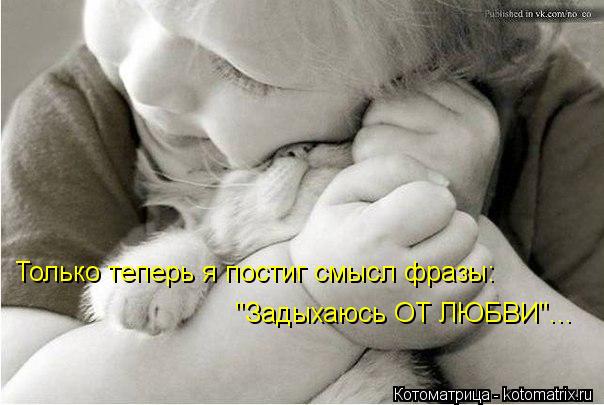 Только теперь я постиг смысл фразы: "Задыхаюсь ОТ ЛЮБВИ"...... Котоматрица: Только теперь я постиг смысл фразы: "Задыхаюсь ОТ ЛЮБВИ"...
