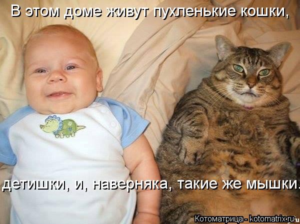 В этом доме живут пухленькие кошки, детишки, и, наверняка, такие же мышки.... Котоматрица: В этом доме живут пухленькие кошки, детишки, и, наверняка, такие же мышки.