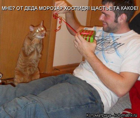 МНЕ? ОТ ДЕДА МОРОЗА? ХОСПИДЯ! ЩАСТЬЕ ТА КАКОЕ!... Котоматрица: МНЕ? ОТ ДЕДА МОРОЗА? ХОСПИДЯ! ЩАСТЬЕ ТА КАКОЕ!