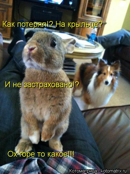 Как потерял!? На крыльце? И не застраховано!? Ох горе то какое!!!... Котоматрица: Как потерял!? На крыльце? И не застраховано!? Ох горе то какое!!!