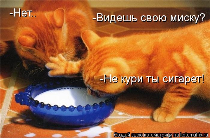 -Видешь свою миску? -Нет.. -Не кури ты сигарет!... Котоматрица: -Видешь свою миску? -Нет.. -Не кури ты сигарет!
