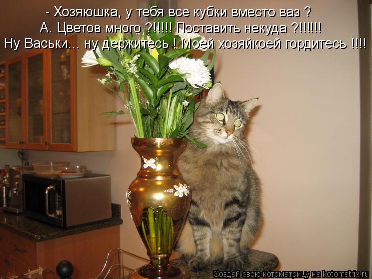 Котоматрица: - Хозяюшка, у тебя все кубки вместо ваз ? А. Цветов много ?!!!!! Поставить некуда ?!!!!!! Ну Васьки... ну держитесь ! Моей хозяйкоей гордитесь !!!!