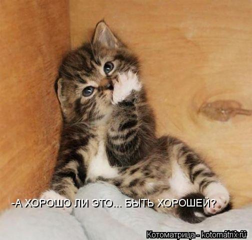 -А ХОРОШО ЛИ ЭТО... БЫТЬ ХОРОШЕЙ?... Котоматрица: -А ХОРОШО ЛИ ЭТО... БЫТЬ ХОРОШЕЙ?