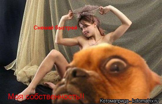 Моя собственность!! Снемай быстрей... Котоматрица: Моя собственность!! Снемай быстрей