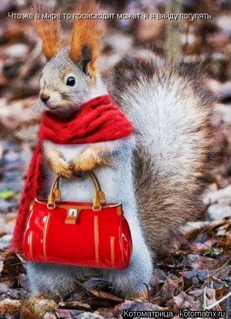 Что же в мире то происходит может, и я вийду погулять.... Котоматрица: Что же в мире то происходит может, и я вийду погулять.