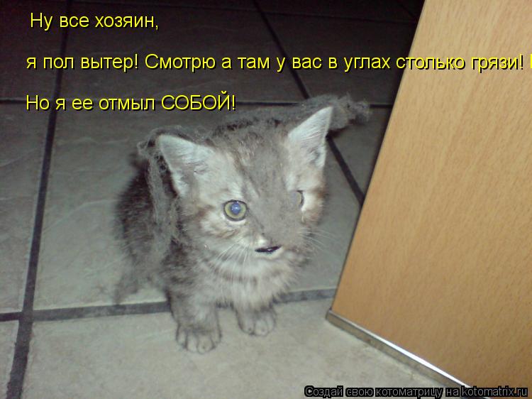 Ну все хозяин, я пол вытер! Смотрю а там у вас в углах столько грязи! Но я ее отмыл СОБОЙ! Но я ее о... Котоматрица: Ну все хозяин, я пол вытер! Смотрю а там у вас в углах столько грязи! Но я ее отмыл СОБОЙ! Но я ее отмыл СОБОЙ!