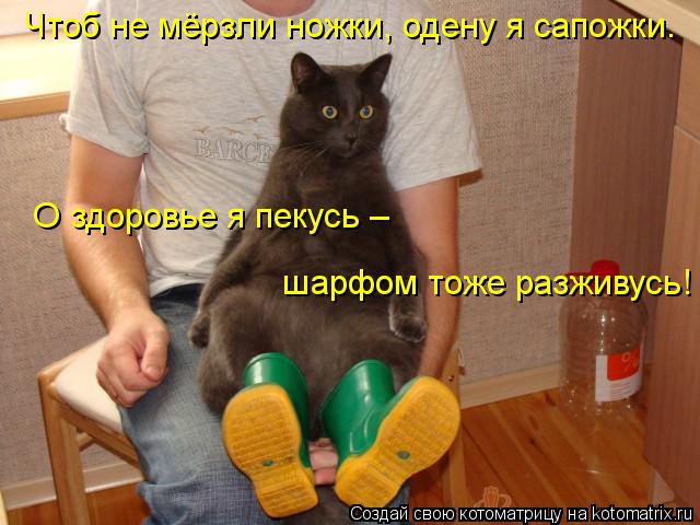 Котоматрица: Чтоб не мёрзли ножки, одену я сапожки. О здоровье я пекусь –  шарфом тоже разживусь!