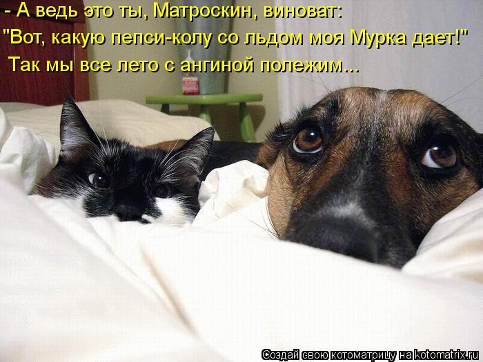 "Вот, какую пепси-колу со льдом моя Мурка дает!" Так мы все лето с ангиной полежим... - А ведь это ты... Котоматрица: "Вот, какую пепси-колу со льдом моя Мурка дает!" Так мы все лето с ангиной полежим... - А ведь это ты, Матроскин, виноват:
