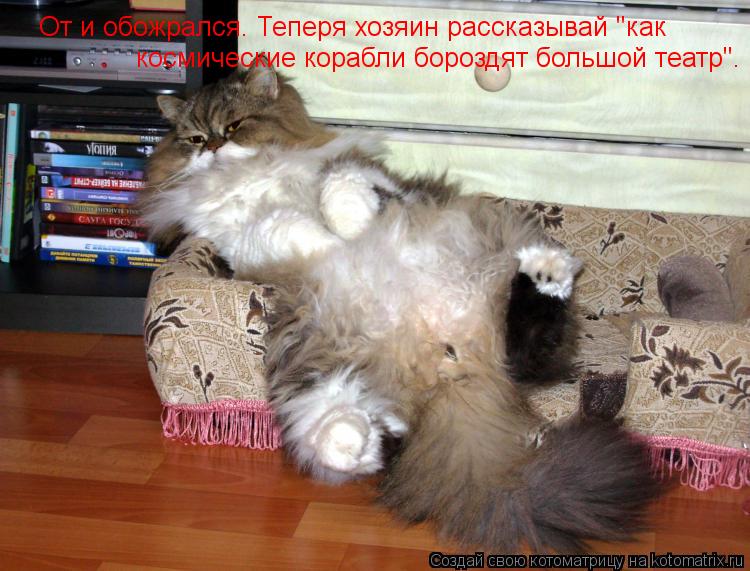 От и обожрался. Теперя хозяин рассказывай "как космические корабли бороздят большой театр".... Котоматрица: От и обожрался. Теперя хозяин рассказывай "как космические корабли бороздят большой театр".