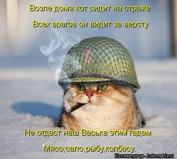 Возле дома кот сидит на страже Всех врагов он видит за версту Не отдаст наш Васька этим гадам Мясо,са... Котоматрица: Возле дома кот сидит на страже Всех врагов он видит за версту Не отдаст наш Васька этим гадам Мясо,сало,рыбу,колбасу.