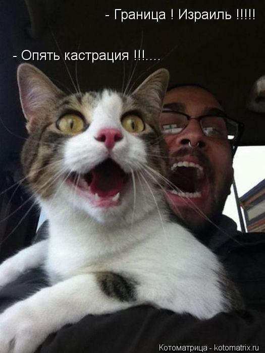Котоматрица: - Граница ! Израиль !!!!! - Опять кастрация !!!....