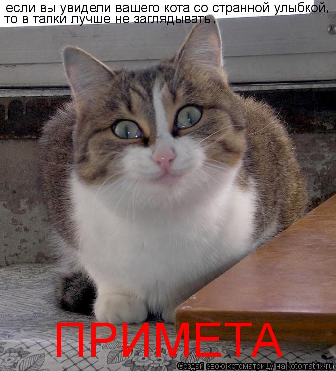 если вы увидели вашего кота со странной улыбкой , то в тапки лучше не заглядывать , ПРИМЕТА... Котоматрица: если вы увидели вашего кота со странной улыбкой , то в тапки лучше не заглядывать , ПРИМЕТА