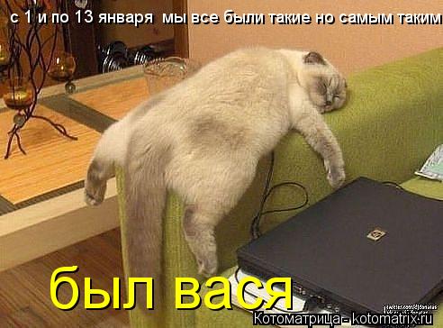 с 1 и по 13 января мы все были такие но самым таким был вася... Котоматрица: с 1 и по 13 января мы все были такие но самым таким был вася