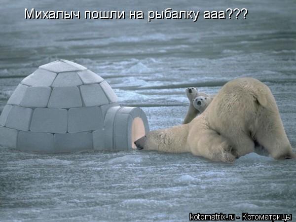 Михалыч пошли на рыбалку ааа???... Котоматрица: Михалыч пошли на рыбалку ааа???
