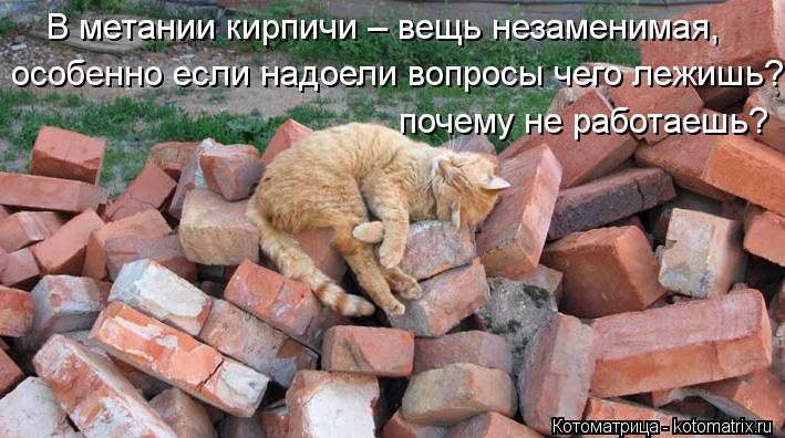 В метании кирпичи – вещь незаменимая, особенно если надоели вопросы чего лежишь? почему не работаешь?... Котоматрица: В метании кирпичи – вещь незаменимая, особенно если надоели вопросы чего лежишь? почему не работаешь?