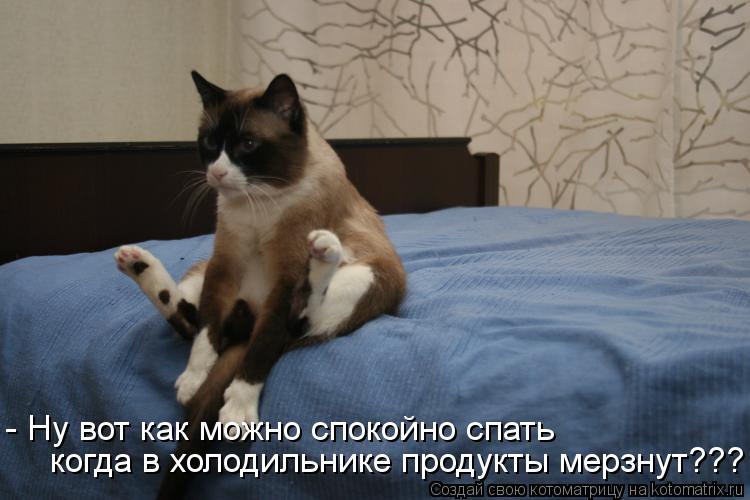 - Ну вот как можно спокойно спать когда в холодильнике продукты мерзнут???... Котоматрица: - Ну вот как можно спокойно спать когда в холодильнике продукты мерзнут???
