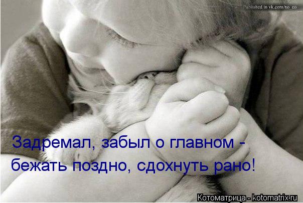 Задремал, забыл о главном - бежать поздно, сдохнуть рано!... Котоматрица: Задремал, забыл о главном - бежать поздно, сдохнуть рано!