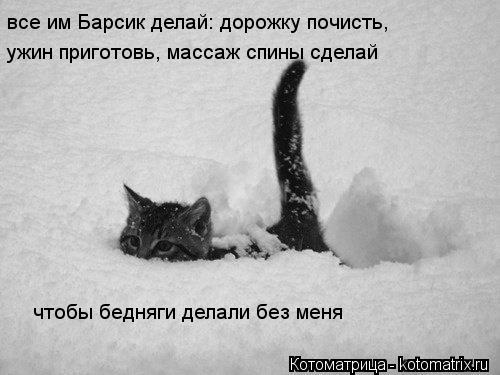 все им Барсик делай: дорожку почисть, ужин приготовь, массаж спины сделай чтобы бедняги делали без ме... Котоматрица: все им Барсик делай: дорожку почисть, ужин приготовь, массаж спины сделай чтобы бедняги делали без меня