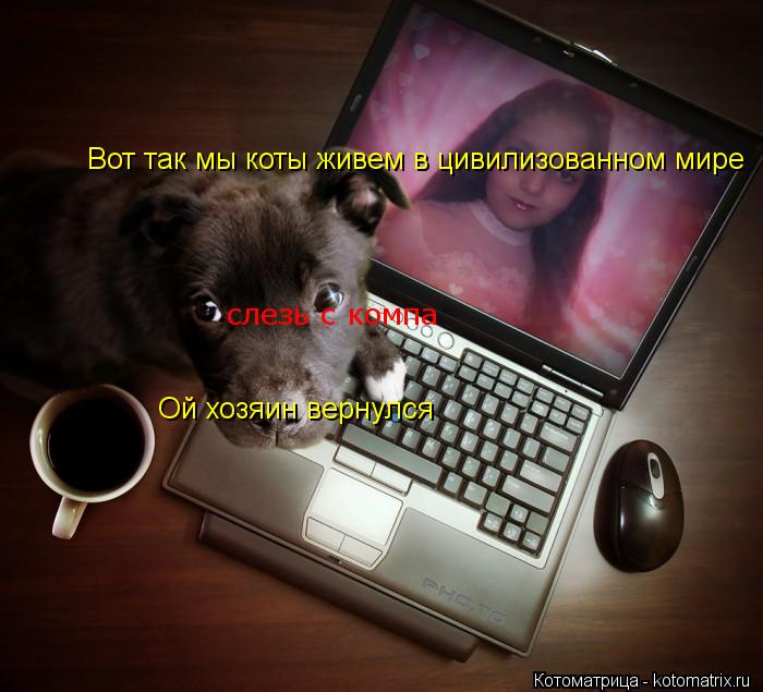 слезь с компа Ой хозяин вернулся Вот так мы коты живем в цивилизованном мире... Котоматрица: слезь с компа Ой хозяин вернулся Вот так мы коты живем в цивилизованном мире