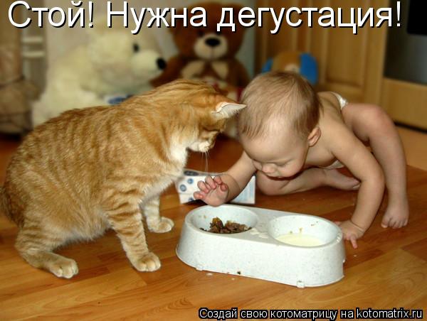 Стой! Нужна дегустация!... Котоматрица: Стой! Нужна дегустация!