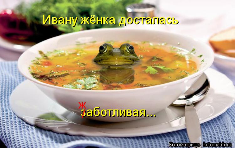 Ивану жёнка досталась заботливая... / ж... Котоматрица: Ивану жёнка досталась заботливая... / ж