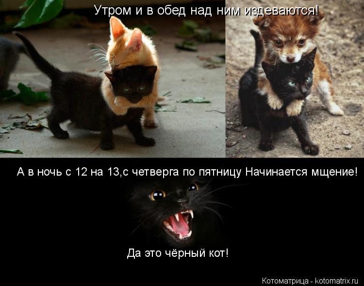 Котоматрица: Утром и в обед над ним издеваются! А в ночь с 12 на 13,с четверга по пятницу Начинается мщение! Да это чёрный кот!