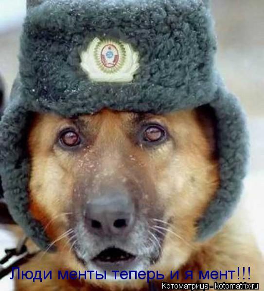 Котоматрица: Люди менты теперь и я мент!!!