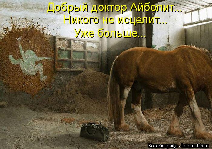 Добрый доктор Айболит... Никого не исцелит... Уже больше...... Котоматрица: Добрый доктор Айболит... Никого не исцелит... Уже больше...