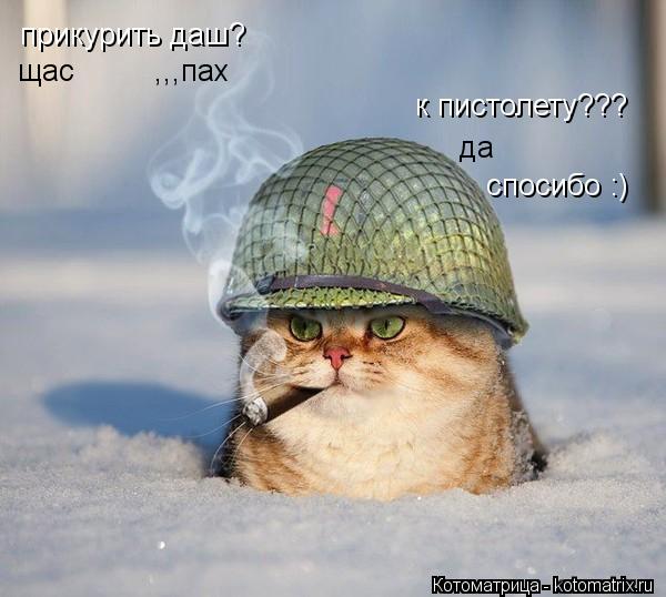 Котоматрица: прикурить даш? щас         ,,,пах к пистолету??? да спосибо :)