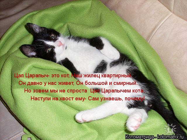 Цап Царапыч- это кот, Наш жилец квартирный. Он давно у нас живет, Он большой и смирный. Но зовем... Котоматрица: Цап Царапыч- это кот, Наш жилец квартирный. Он давно у нас живет, Он большой и смирный. Но зовем мы не спроста Цап Царапычем кота. Наступи
