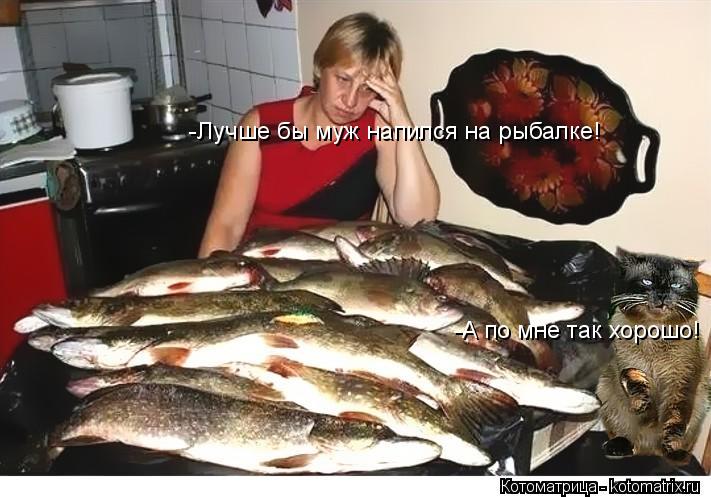 Котоматрица: -Лучше бы муж напился на рыбалке! -А по мне так хорошо!
