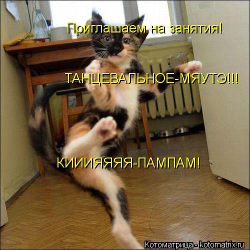 Приглашаем на занятия! ТАНЦЕВАЛЬНОЕ-МЯУТЭ!!! КИИИЯЯЯЯ-ПАМПАМ! КИИИЯЯЯЯ-ПАМПАМ!... Котоматрица: Приглашаем на занятия! ТАНЦЕВАЛЬНОЕ-МЯУТЭ!!! КИИИЯЯЯЯ-ПАМПАМ! КИИИЯЯЯЯ-ПАМПАМ!
