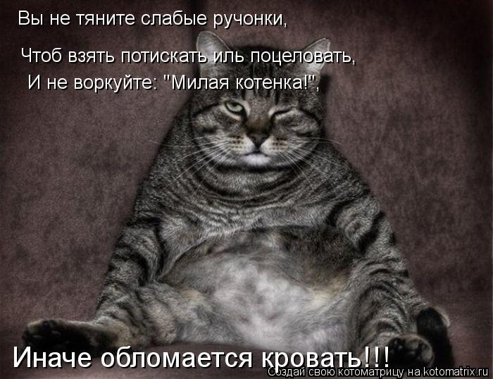 Котоматрица: Вы не тяните слабые ручонки,  Чтоб взять потискать иль поцеловать,  И не воркуйте: "Милая котенка!",  Иначе обломается кровать!!!