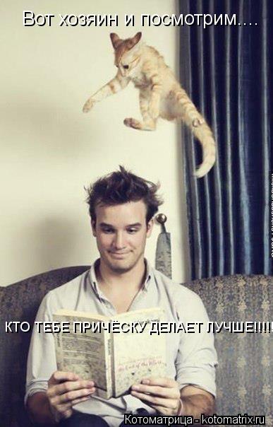 Котоматрица: Вот хозяин и посмотрим.... КТО ТЕБЕ ПРИЧЁСКУ ДЕЛАЕТ ЛУЧШЕ!!!!!!!!