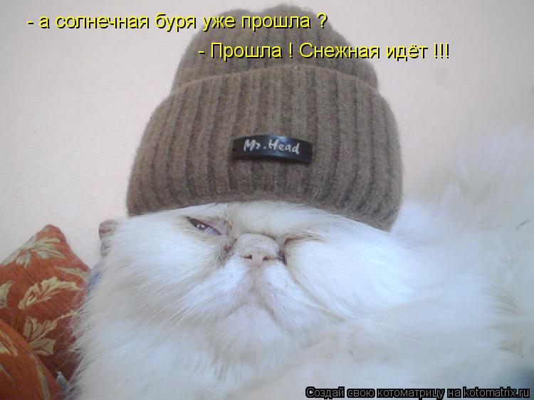 Котоматрица: - а солнечная буря уже прошла ? - Прошла ! Снежная идёт !!!