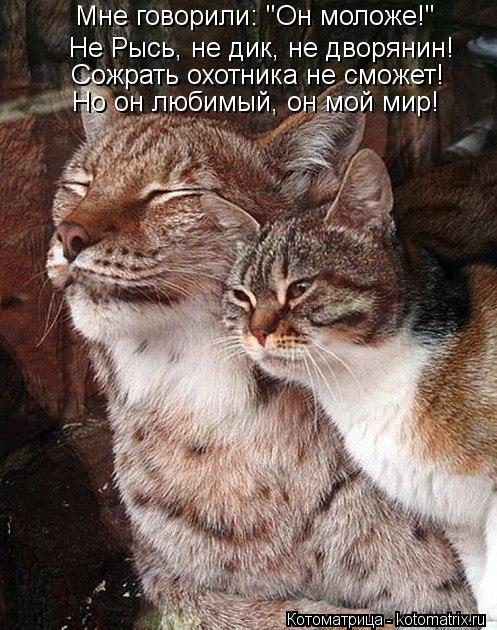 http://kotomatrix.ru/images/lolz/2013/07/10/kotomatritsa_K7.jpg