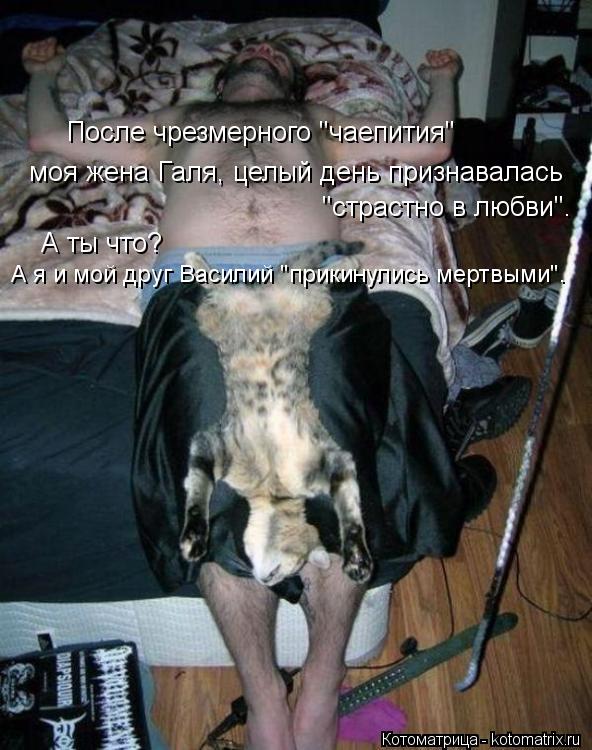 После чрезмерного "чаепития" "страстно в любви". А ты что? А я и мой друг Василий "прикинулись мертвы... Котоматрица: После чрезмерного "чаепития" "страстно в любви". А ты что? А я и мой друг Василий "прикинулись мертвыми". моя жена Галя, целый день признавалас