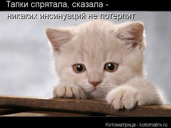 Тапки спрятала, сказала - никаких инсинуаций не потерпит... Котоматрица: Тапки спрятала, сказала - никаких инсинуаций не потерпит