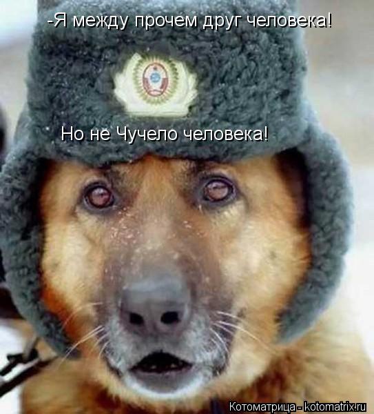 Котоматрица: -Я между прочем друг человека! Но не Чучело человека!
