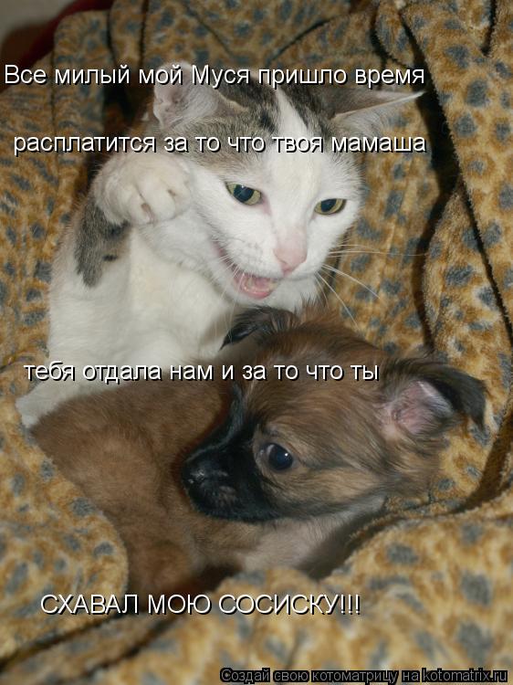 Котоматрица: Все милый мой Муся пришло время расплатится за то что твоя мамаша  тебя отдала нам и за то что ты СХАВАЛ МОЮ СОСИСКУ!!!