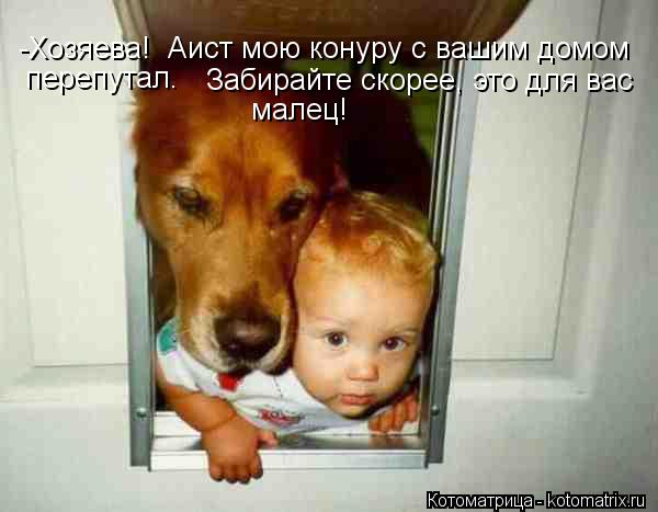 Котоматрица: -Хозяева!  Аист мою конуру с вашим домом  перепутал.  Забирайте скорее, это для вас малец!