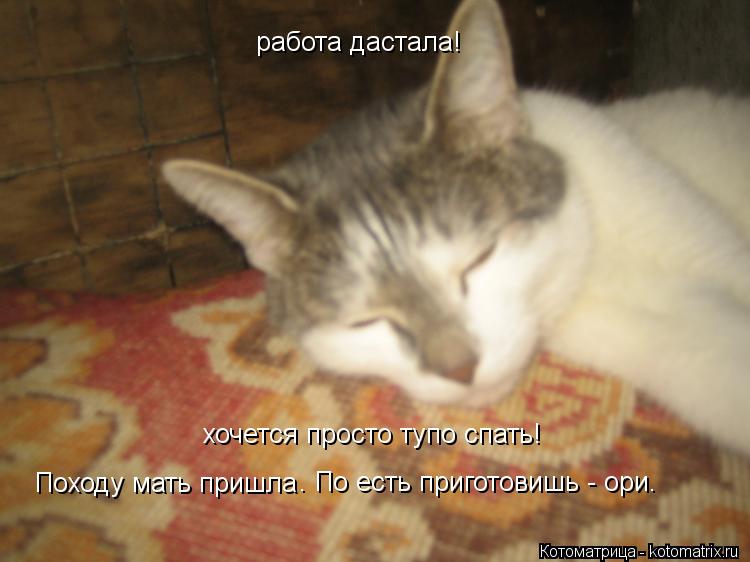 работа дастала! хочется просто тупо спать! Походу мать пришла . По есть приготовишь - ори.... Котоматрица: работа дастала! хочется просто тупо спать! Походу мать пришла . По есть приготовишь - ори.