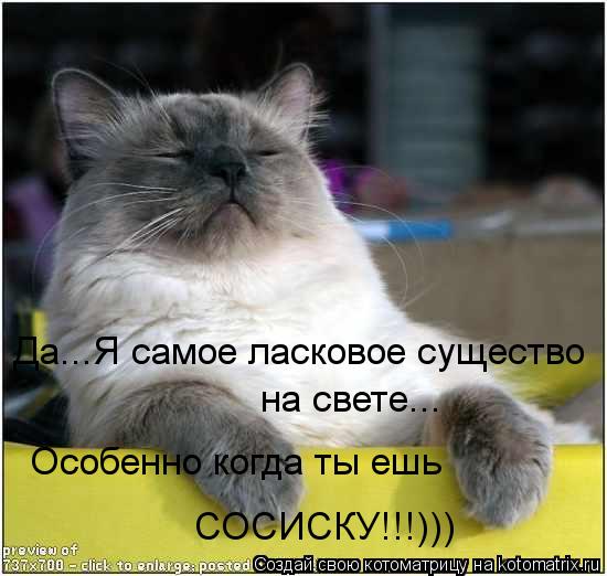 Котоматрица: Да...Я самое ласковое существо  на свете... Особенно когда ты ешь СОСИСКУ!!!)))